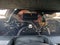 2026 Kia K4 1.6 Gt Line Turbo At