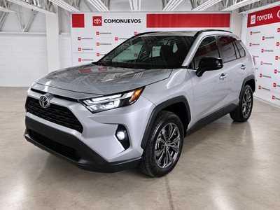 2025 Toyota RAV4 2.5 Xle At