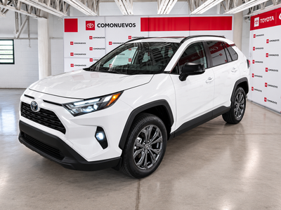 2025 Toyota RAV4 2.5 Xle At