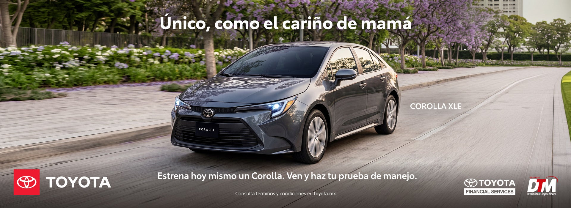 Corolla