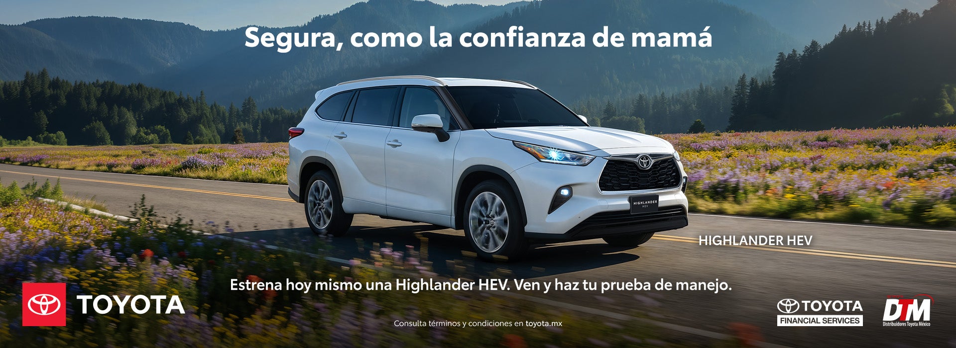 Highlander